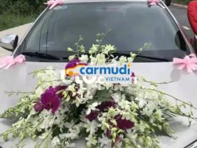 Toyota Vios 1.5E MT 2019