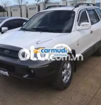 Hyundai Santa Fe Gold 2005