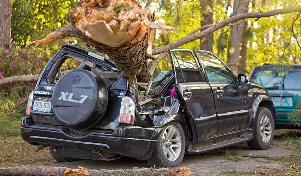 Bao hiem o to do cay do - 1