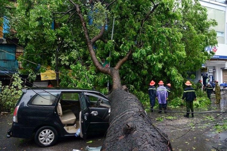 Bao hiem o to do cay do - 2