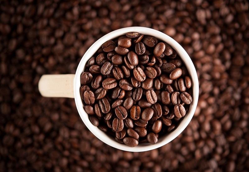 Phương pháp khử mùi hôi trên ô tô