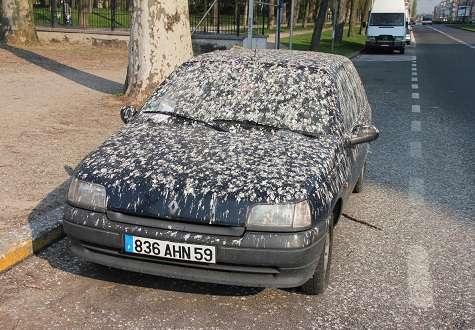 7 nguyên nhân phá hủy lớp sơn ô tô