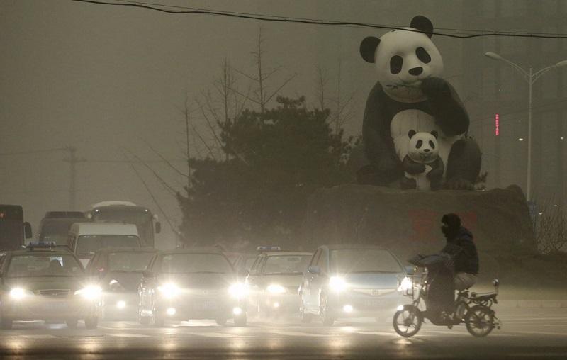 6 kỹ năng cần thiết khi lái xe trong thời tiết sương mù