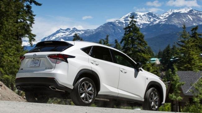 Leo và đổ đèo bằng ôtô - Đừng chết vì thiếu hiểu biết