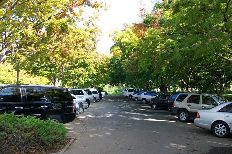 Tìm chỗ đỗ xe thoáng mát