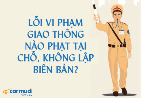 Lỗi vi phạm nào bị phạt tại chỗ, không lập biên bản?