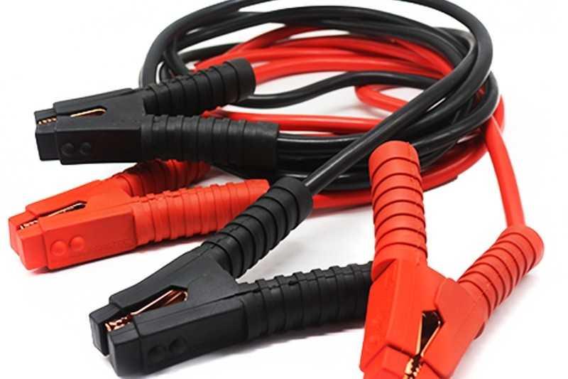 Dây câu bình điện