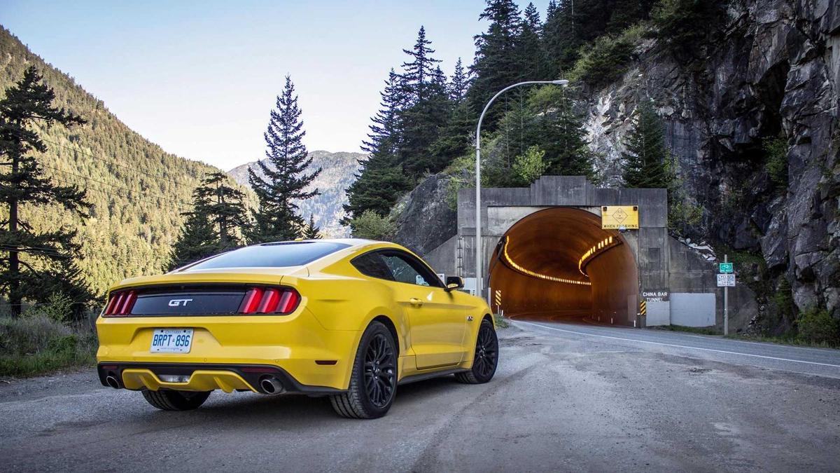 Năm sinh tuổi Kỷ Tỵ: 1929, 1989 và 2049 (mệnh Mộc)