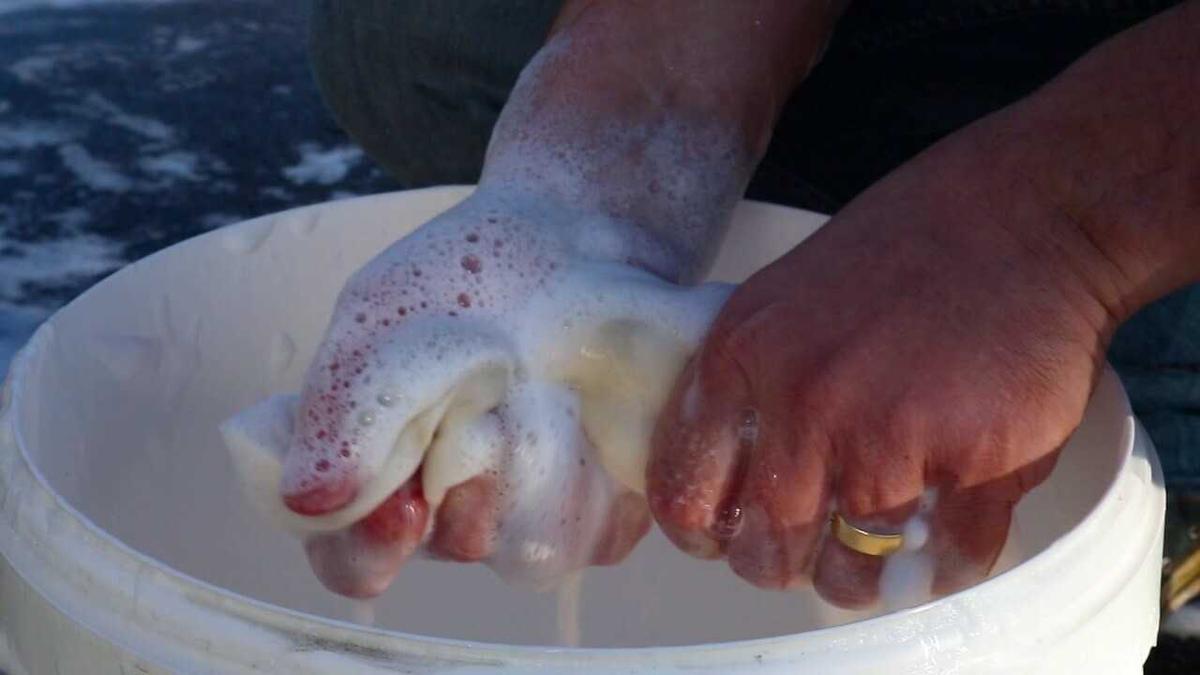 Làm sạch khăn lau, bọt biển sau mỗi lần lau