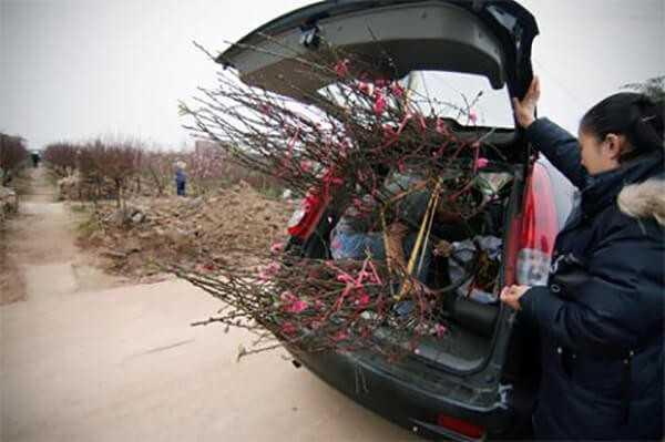  Đừng “tham” hành lý