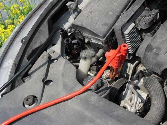 Dây câu bình điện