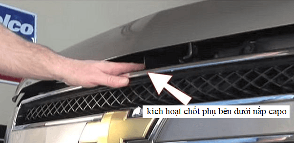 kích hoạt chốt phụ bên dưới nắp capo