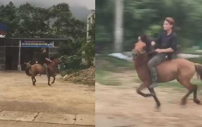 Có lẽ vì thế mà nam thanh niên trong clip không dám lái xe máy đi nhậu mà… cưỡi ngựa.