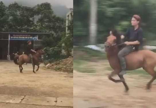 Thách thức kiểm tra nồng độ cồn, thanh niên cưỡi ngựa đi nhậu