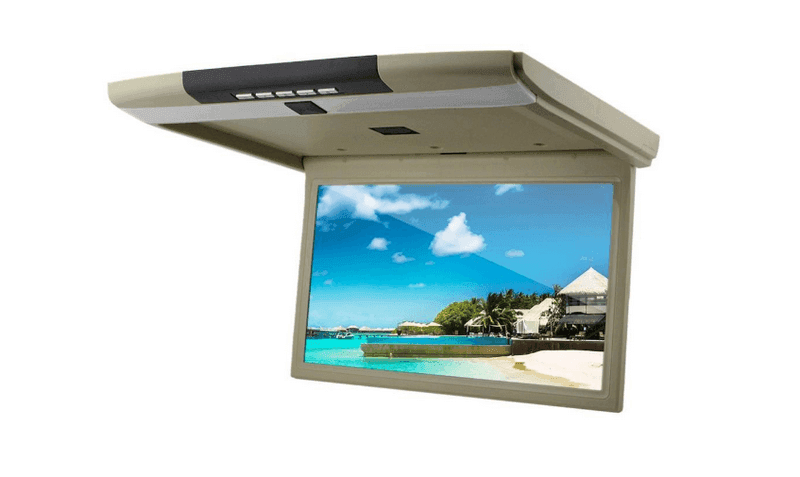 Màn hình giải trí gắn nóc