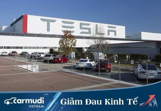 Tesla tự ý mở lại nhà máy bất chấp phạm luật