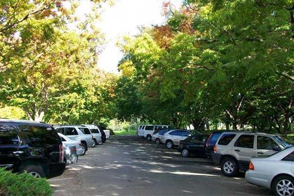 Nên đậu xe dưới các bóng râm các cây xanh hay hầm giữ xe để bảo vệ khỏi nhiệt độ cao