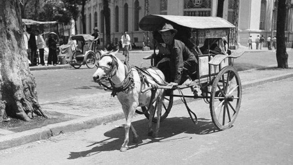 Dầu và đèn dầu