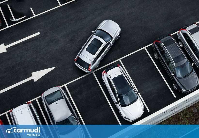 Kinh nghiệm đánh lái khi lùi xe mà bất kì tài xế nào cũng cần biết