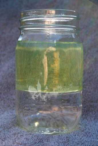 Làm thế nào để giải quyết vấn đề nước có trong bình xăng xe