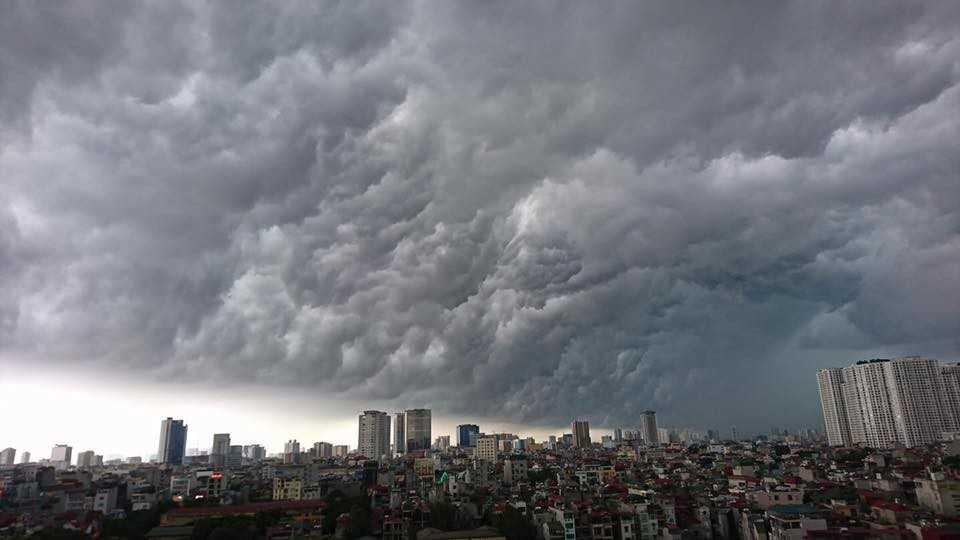 Cách xử lý tình huống nguy hiểm có thể gặp phải khi lái xe ô tô