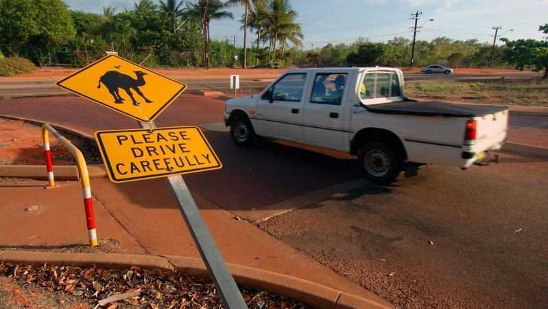 Lái xe cẩn thận