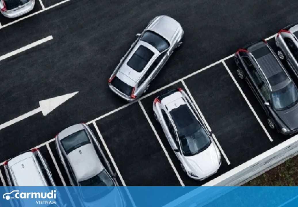 7 lỗi tai hại khi “lùi chuồng” hay gặp nhất