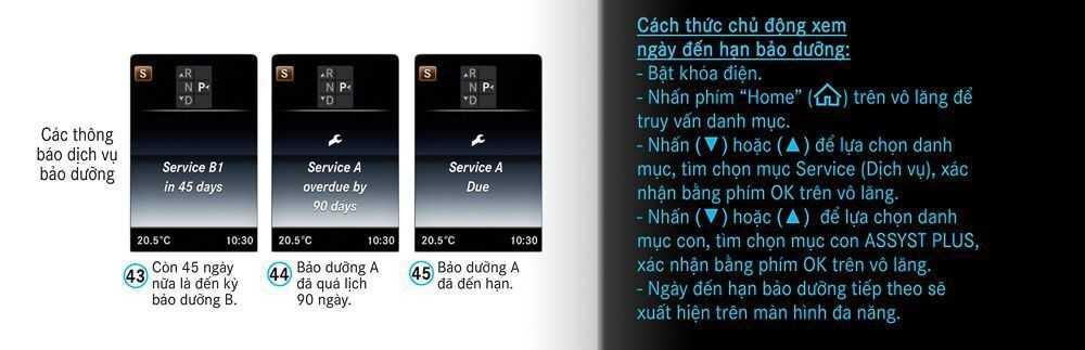 Thông báo dịch vụ bảo dưỡng