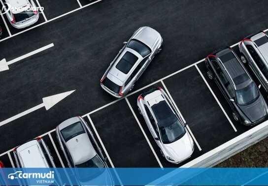 Lời khuyên dành cho lái mới khi lùi xe vào chuồng