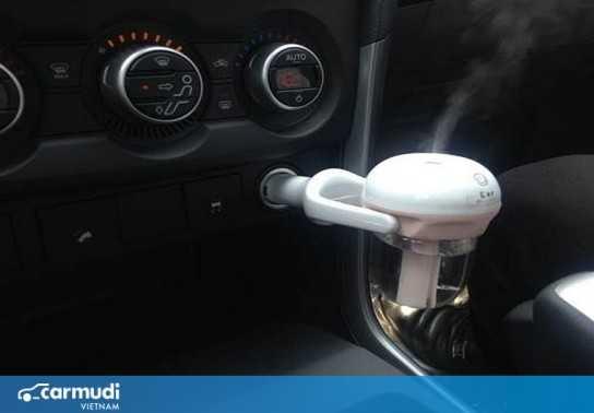 Những cách đuổi côn trùng hiệu quả dành cho xe ô tô