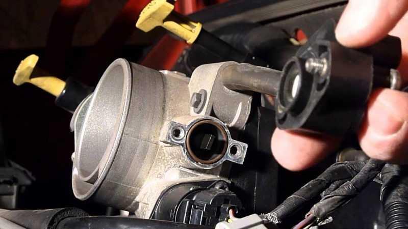 Vì đâu mà bướm ga bị bẩn?