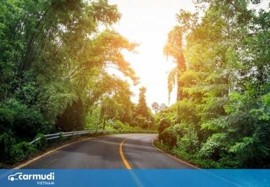 Phân loại các vạch kẻ đường màu vàng thường gặp khi tham gia giao thông