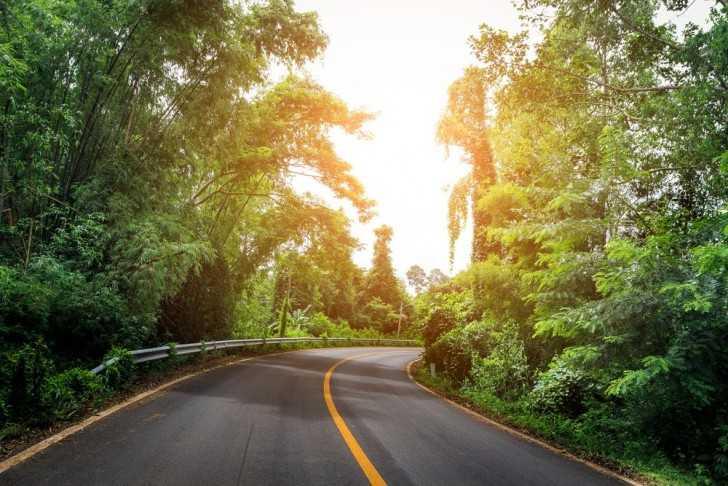 Vạch màu vàng nét liền