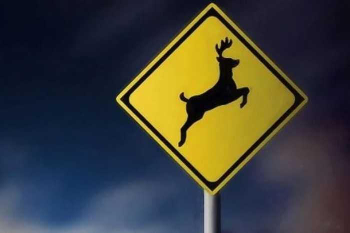 Những lưu ý cần nhớ khi lái xe vào ban đêm