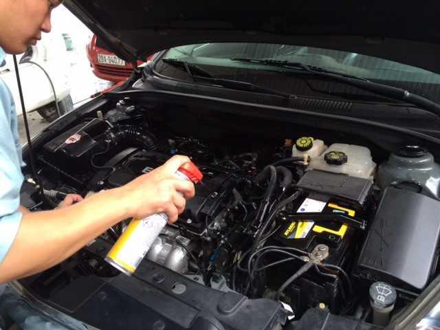 Chai xịt chống chuột gián