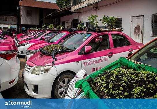 Xe taxi ế khách được tận dụng để trồng rau trong mùa dịch