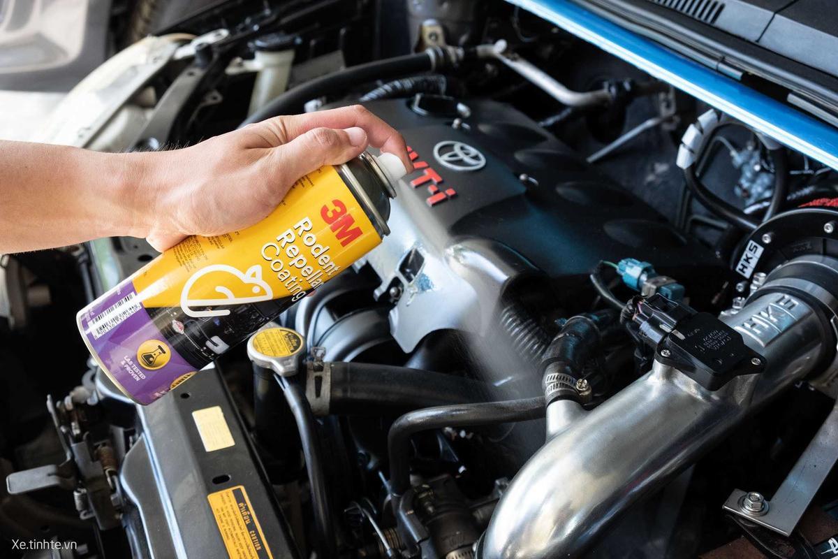 Dùng dung dịch đuổi chuột