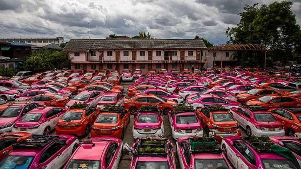 Hàng ngàn xe taxi tại Thái Lan được dùng để trổng rau