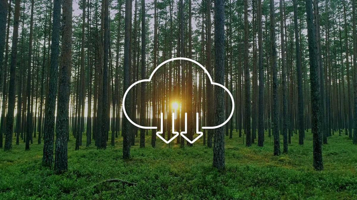 Lợi ích từ trung hòa Carbon