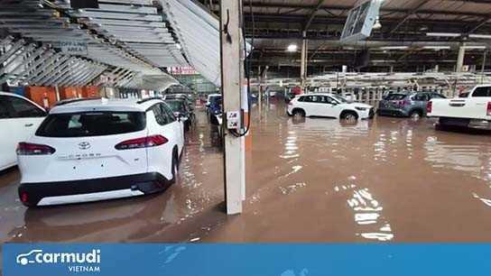 Mưa lũ kéo dài ở Nam Phi, hàng trăm xe Toyota mới bị ngập nước