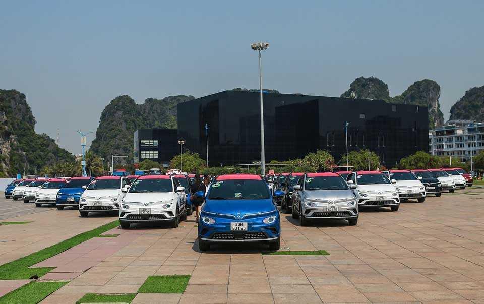 100 ô tô điện Vinfast hội tụ tại TP Hạ Long-1