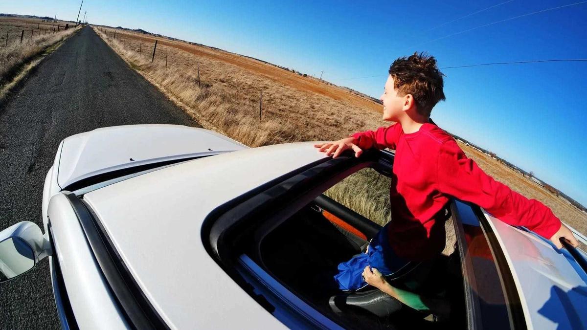 Những l&yacute; do cửa sổ trời kh&ocirc;ng được y&ecirc;u th&iacute;ch-8