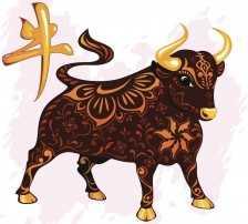 Tuổi Quý Sửu 1973 hợp xe ô tô màu gì? Màu xe hợp quý Sửu 2024