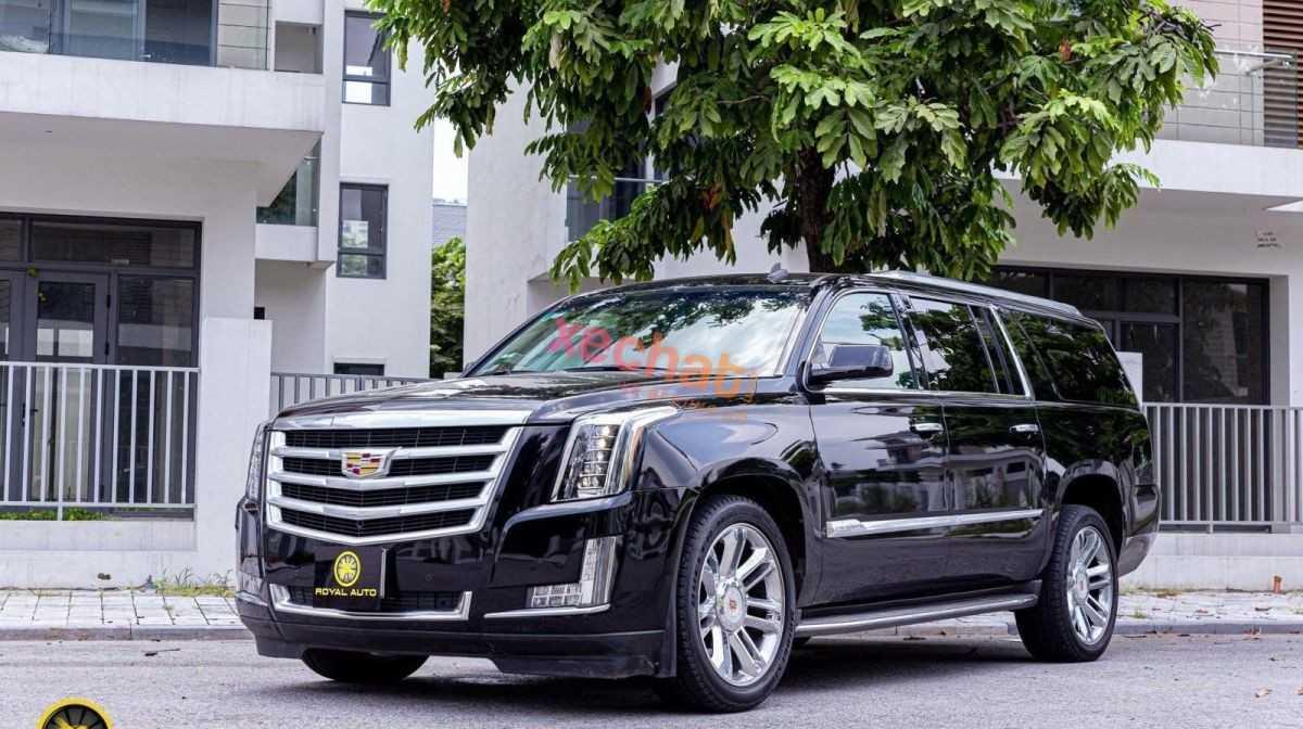 Tuổi Quý Sửu 1973 hợp xe ô tô màu gì? Màu xe hợp quý Sửu 2023