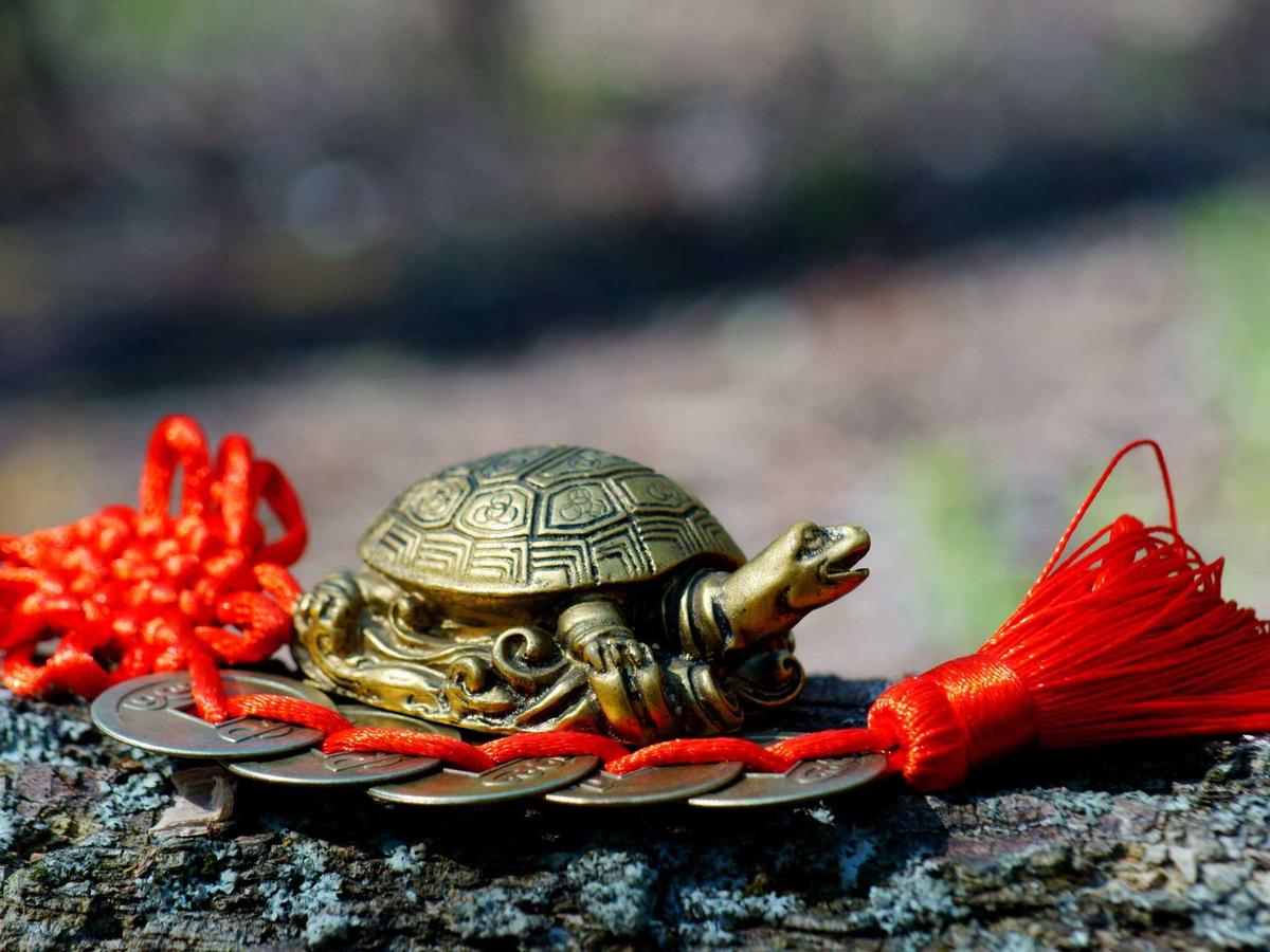 7 mẹo phong thủy mua xe ô tô giúp thu hút tài lộc