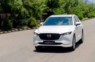 Top 30 dòng xe 7 chỗ cũ đáng mua nhất Cập nhật năm 2024