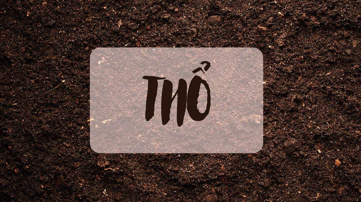 Mệnh Thổ hợp màu xe ô tô gì? Cập nhật 2024