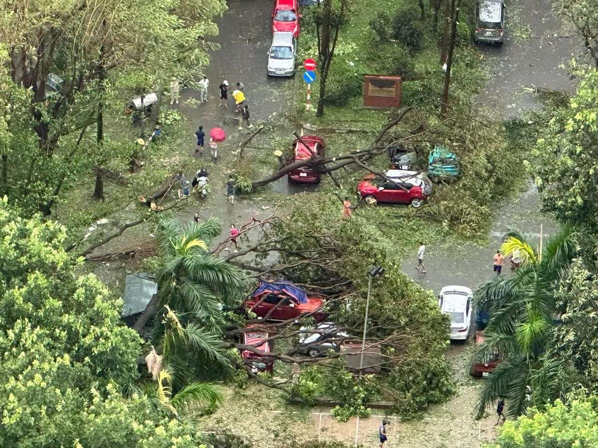 uoc-tinh-so-tien-cac-doanh-nghiep-bao-hiem-boi-thuong-thiet-hai-sau-bao-lu