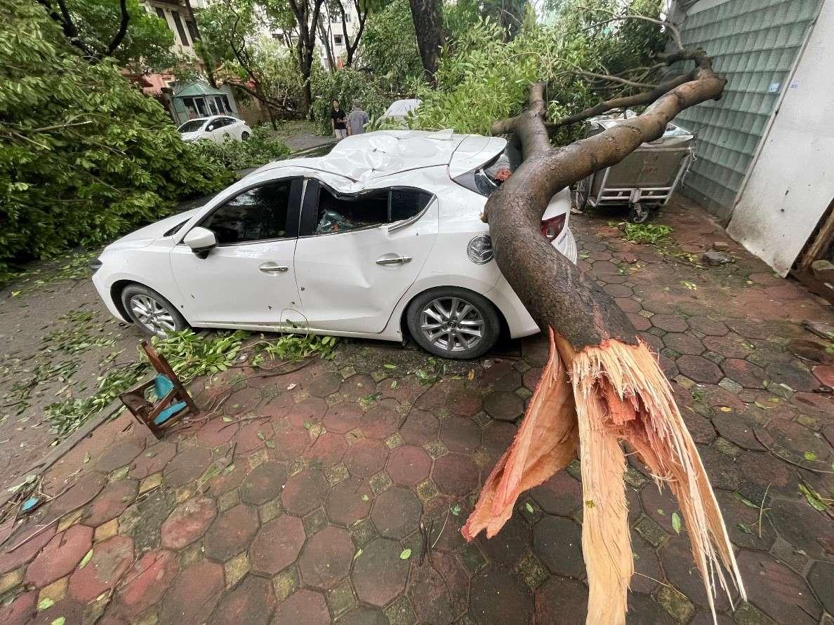 uoc-tinh-so-tien-cac-doanh-nghiep-bao-hiem-boi-thuong-thiet-hai-sau-bao-lu