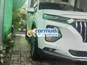 Hyundai Santa Fe 2.2 Dầu Đặc biệt 2019